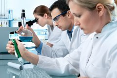 美国留学生物医学工程专业 课程体系、就业前景与未来竞争力